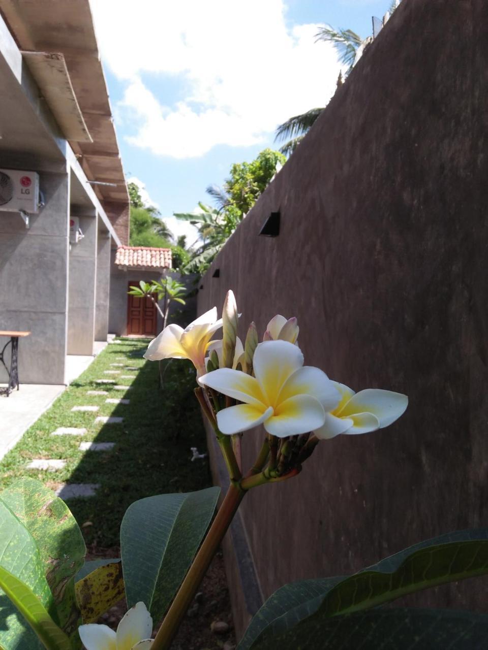 N 34 Hotel Mirissa Exterior foto